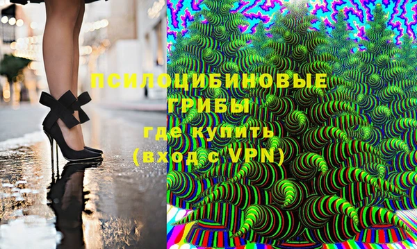 амф Приозерск