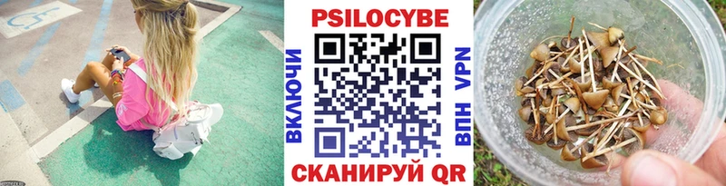 купить закладку Егорьевск Галлюциногенные грибы мицелий