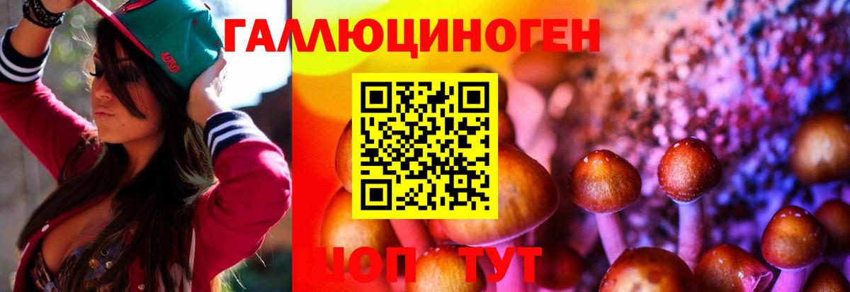 Егорьевск  Псилоцибиновые грибы Cubensis  Вход с VPN 